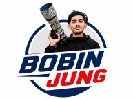 Bobin